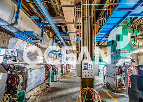 conception 3D graine la machine 10-1500TPD de traitement préparatoire a breveté la technologie