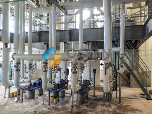 Machine comestible de raffinage du pétrole de soja de paume avec la désodorisation