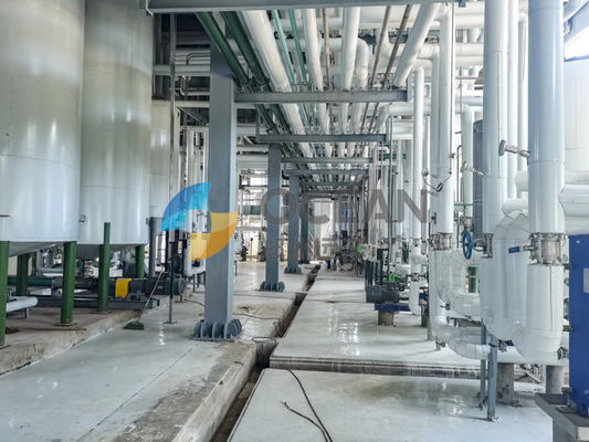 Huile de palme clés en main de raffinerie d'huile de table Olive Oil Mill Equipment