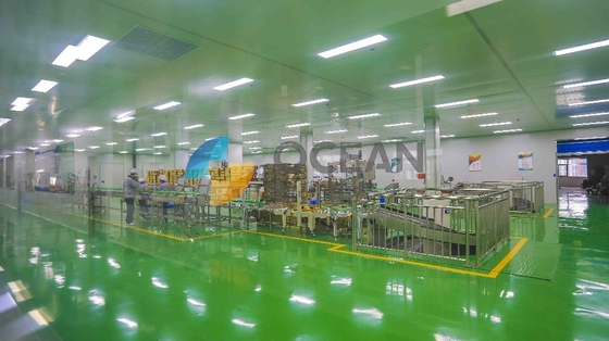 Huile de table à échelle réduite ZX130 faisant la chaîne de production d'extraction utilisation d'usine