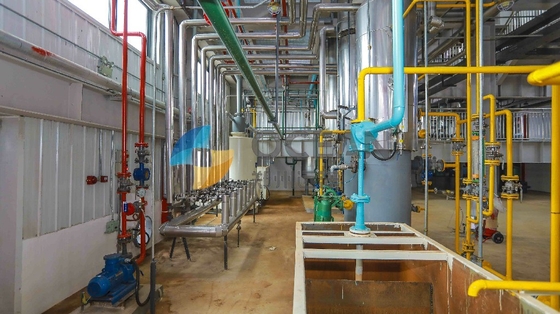 Huile de table à échelle réduite ZX130 faisant la chaîne de production d'extraction utilisation d'usine